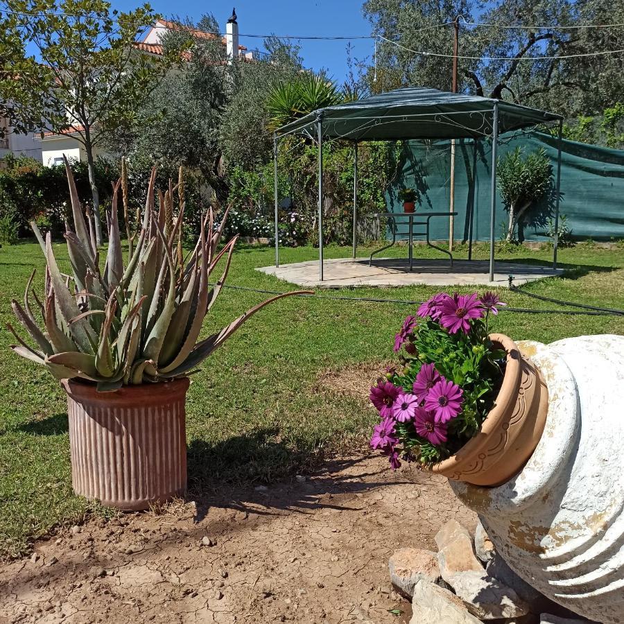 Villa Itea'S Garden House Kirra Exterior foto